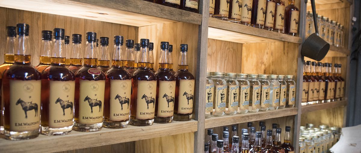 3 días de aventura costera con un presupuesto en Jacksonville, Carolina